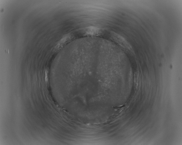 X0000084560127200703091755