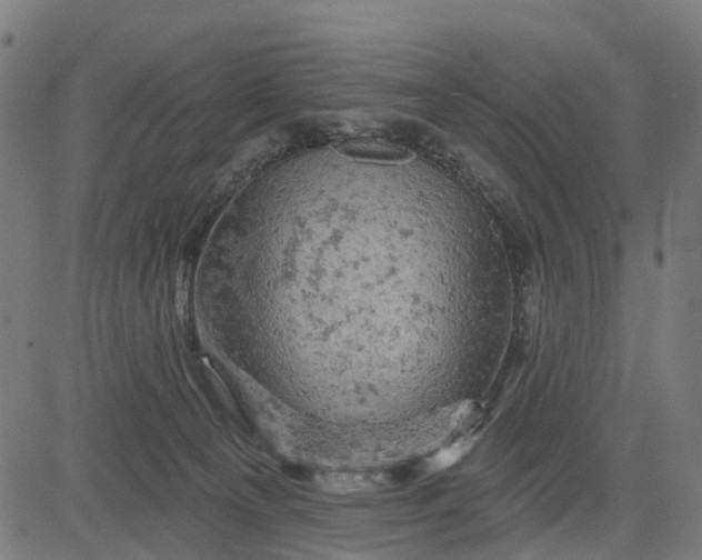 X0000084560129200703091755