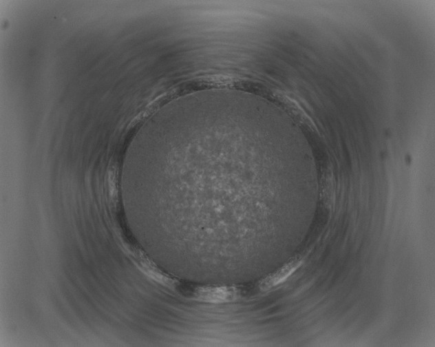 X0000084560131200703091755