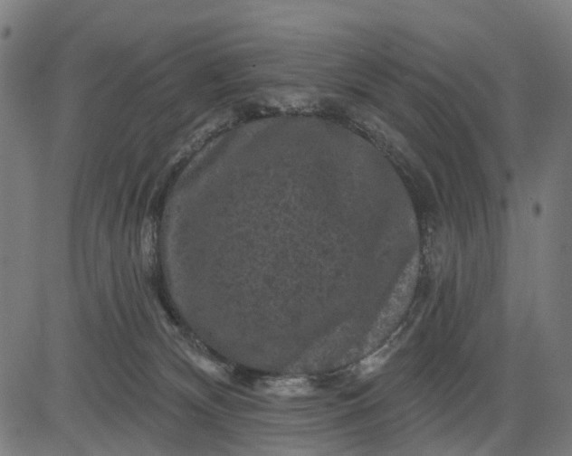 X0000084560132200703091755