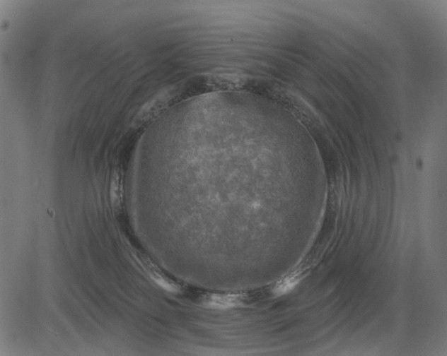 X0000084560134200703091755