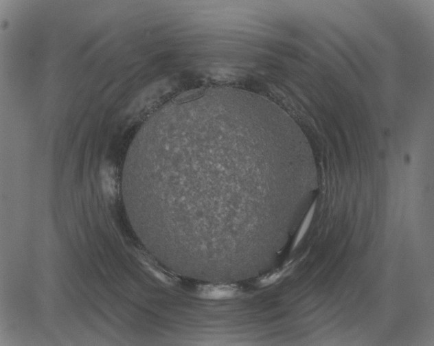 X0000084560135200703091755