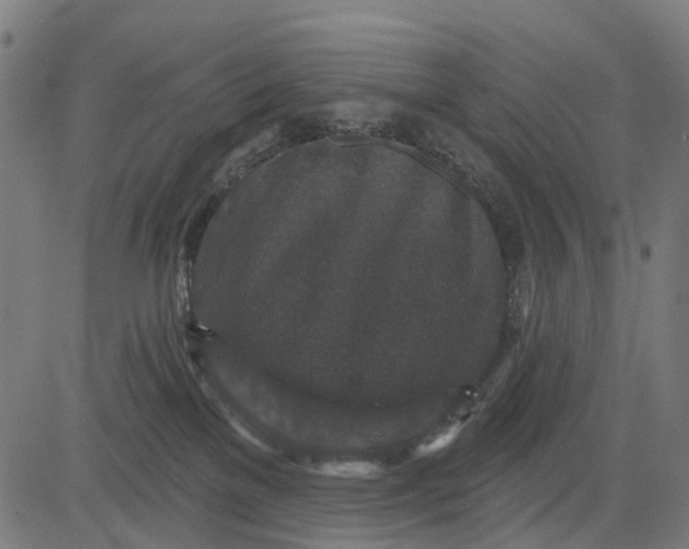 X0000084560137200703091755