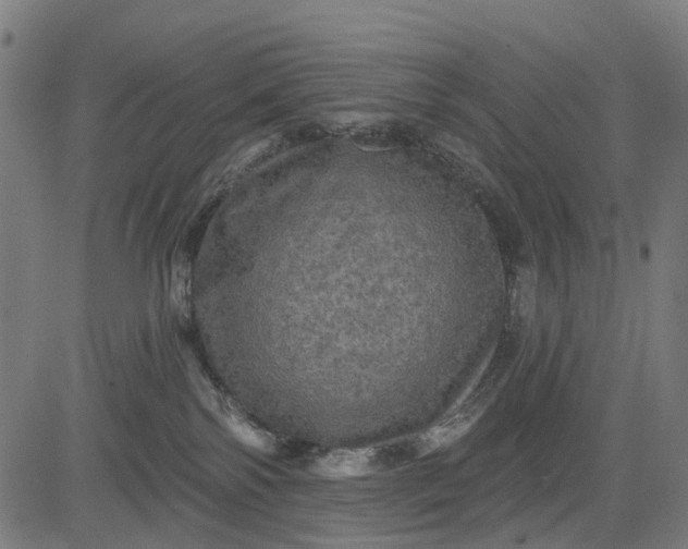 X0000084560138200703091755