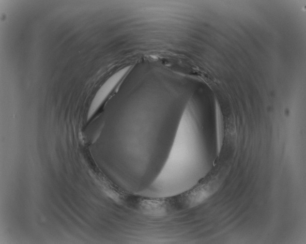 X0000084560139200703091755