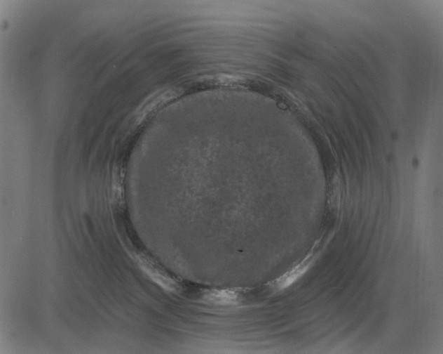 X0000084560140200703091755