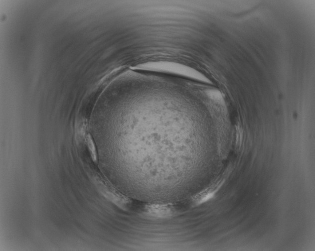 X0000084560141200703091755