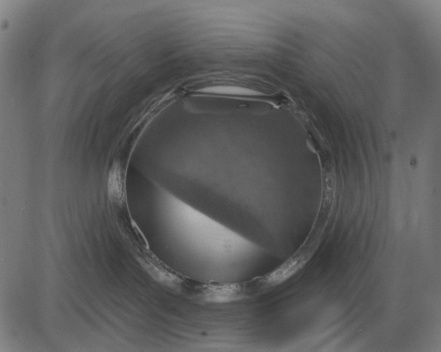 X0000084560143200703091755