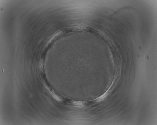 X0000084560144200703091755