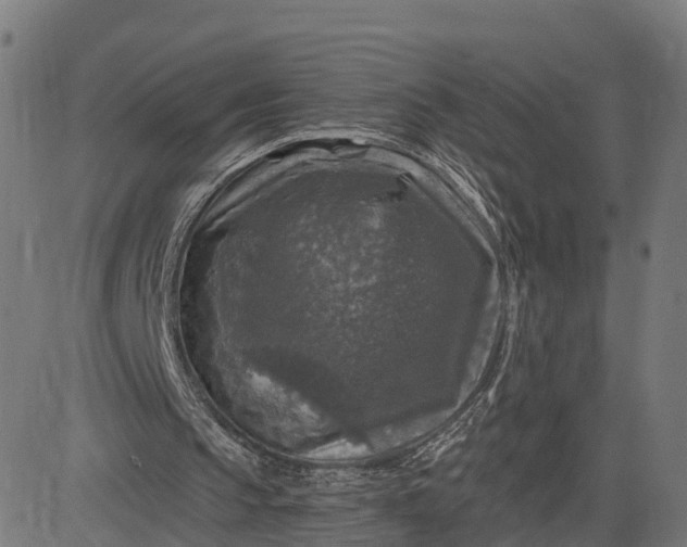 X0000084560145200703091754