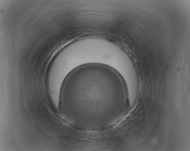 X0000084560146200703091754