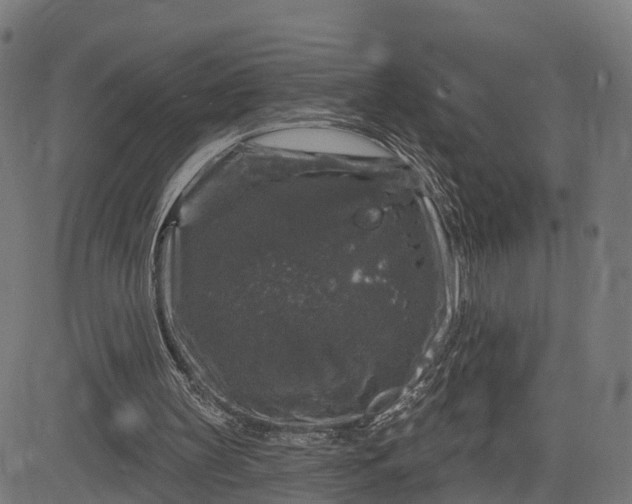 X0000084560147200703091754