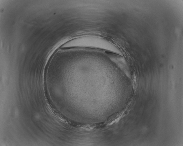 X0000084560148200703091754