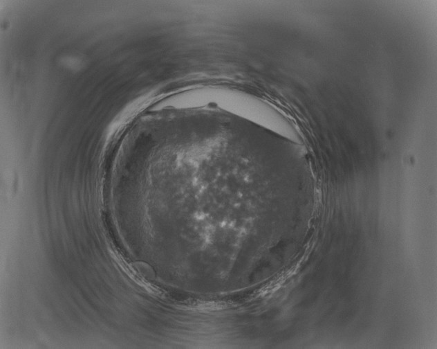 X0000084560149200703091754