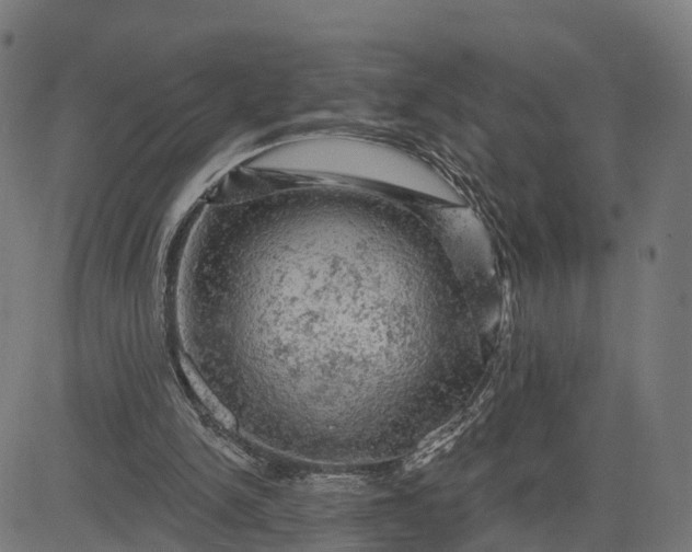 X0000084560150200703091754