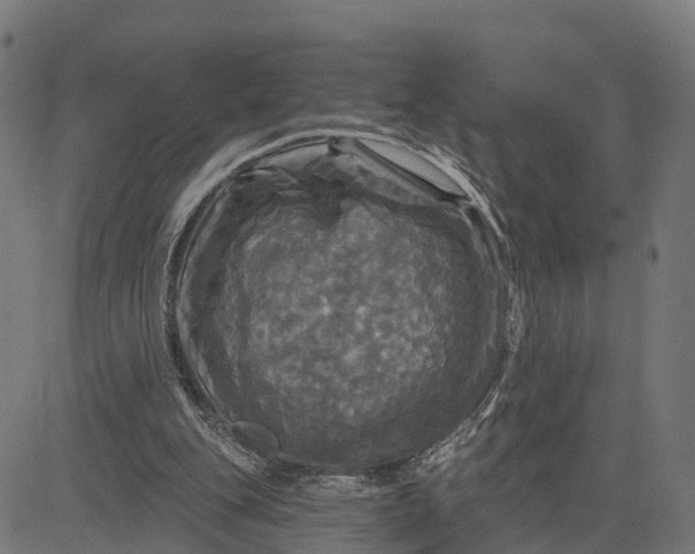 X0000084560151200703091754