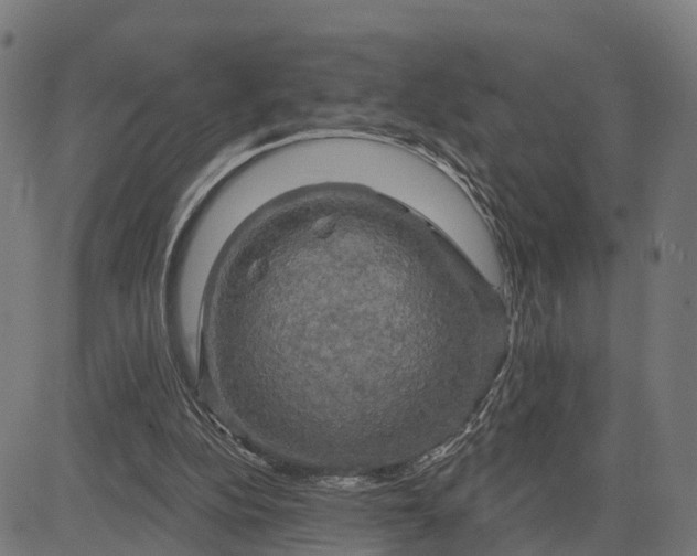 X0000084560152200703091754