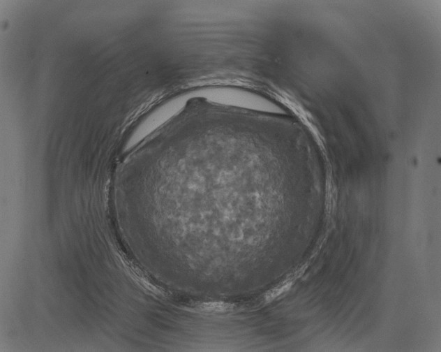 X0000084560153200703091754