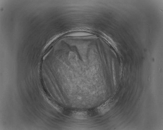 X0000084560155200703091754