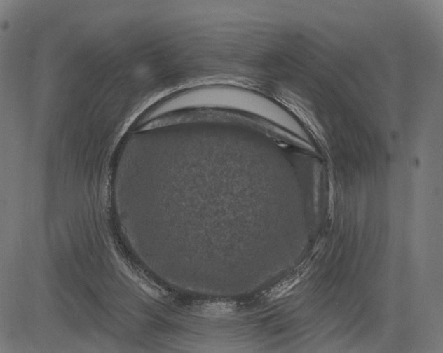 X0000084560156200703091754