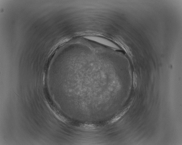 X0000084560157200703091754