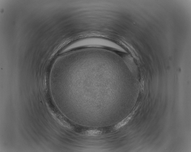 X0000084560158200703091754