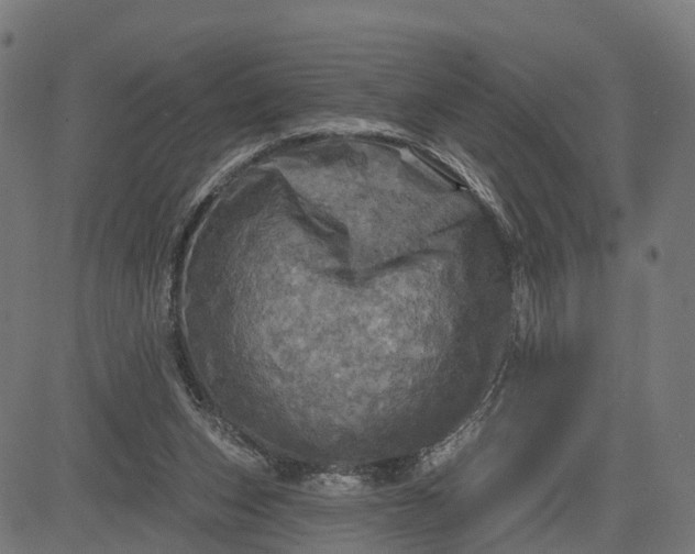 X0000084560159200703091754