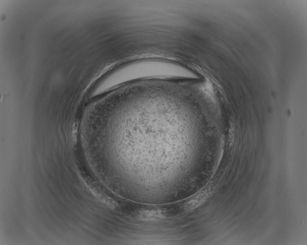 X0000084560160200703091754