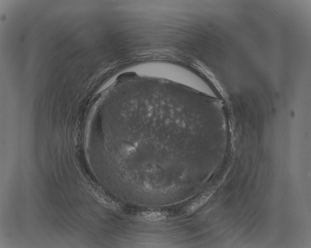 X0000084560161200703091754