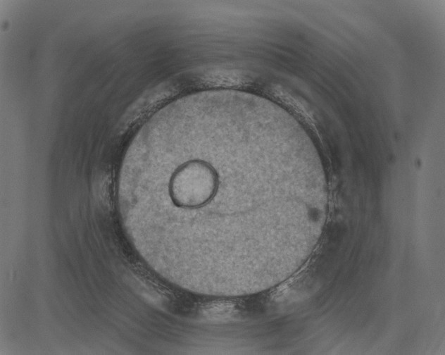 X0000084560162200703091754