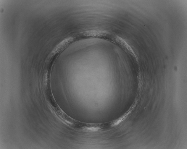 X0000084560163200703091754