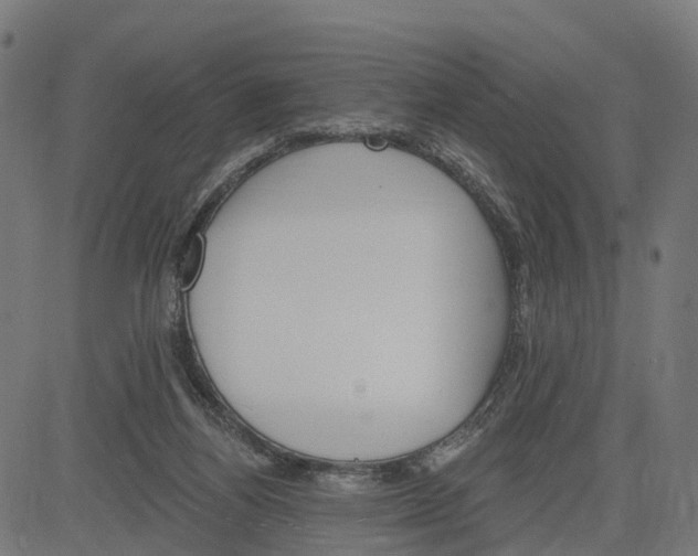 X0000084560164200703091754