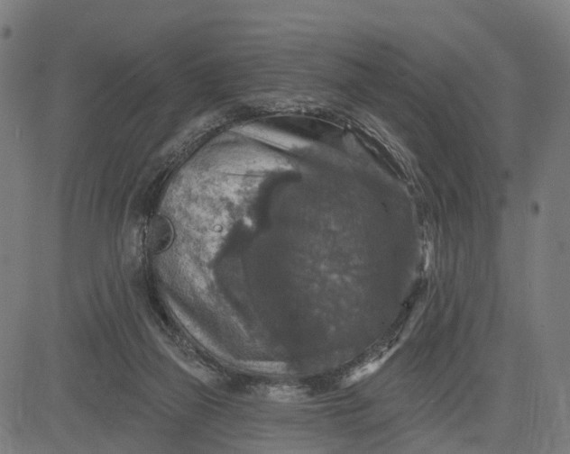 X0000084560165200703091754