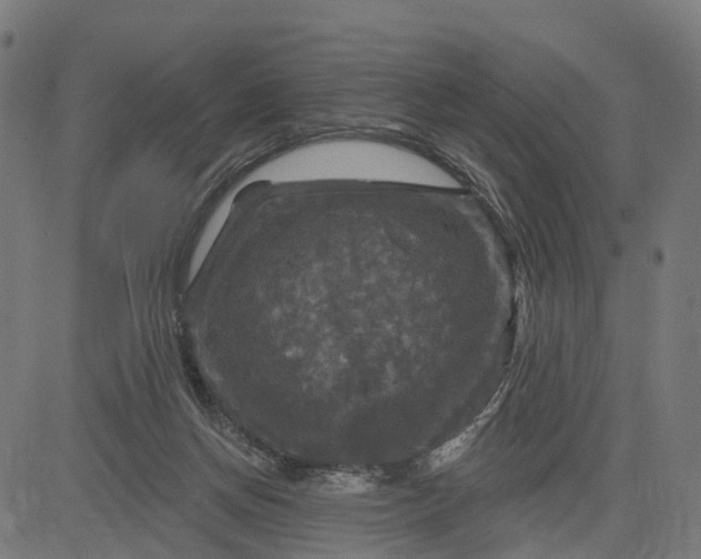 X0000084560166200703091754