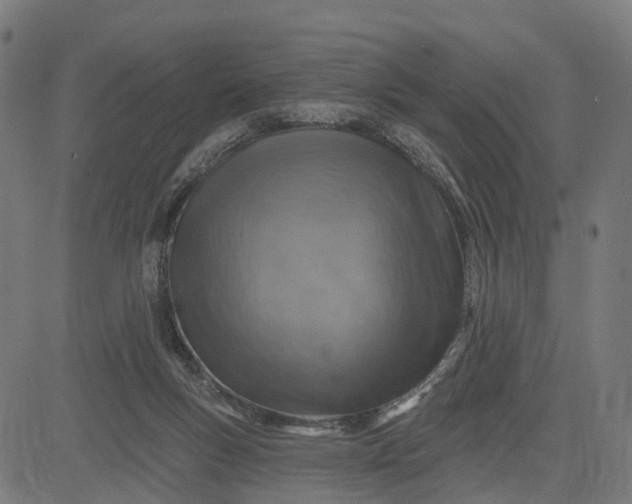 X0000084560167200703091754