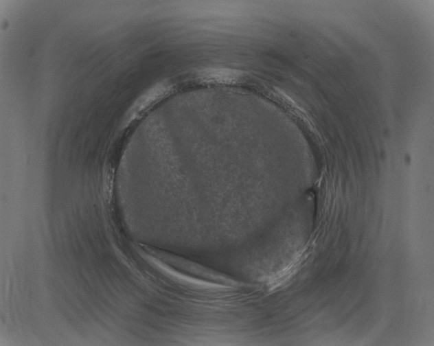 X0000084560168200703091754