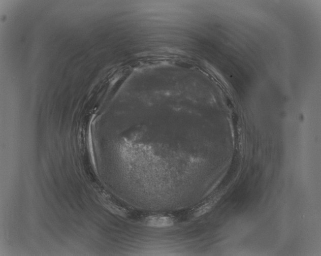 X0000084560169200703091754