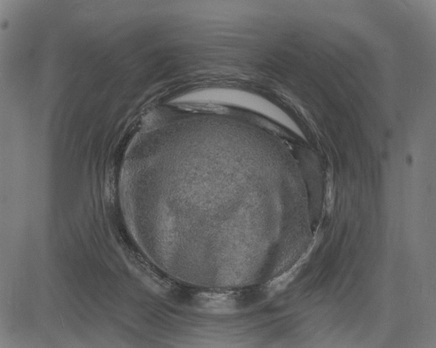 X0000084560170200703091754