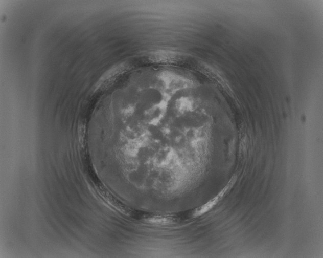 X0000084560171200703091754