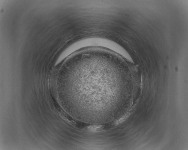 X0000084560172200703091754