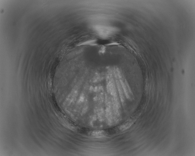 X0000084560173200703091754