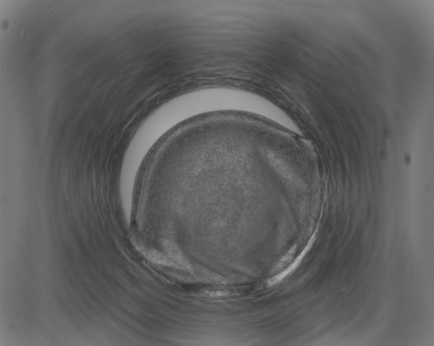 X0000084560174200703091754