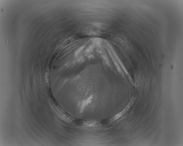 X0000084560175200703091754