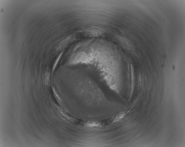 X0000084560177200703091754