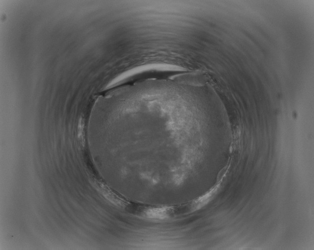 X0000084560178200703091754