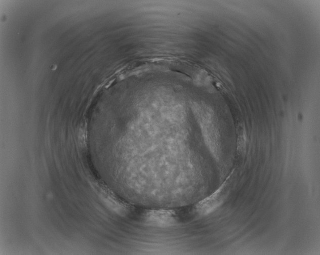 X0000084560179200703091754