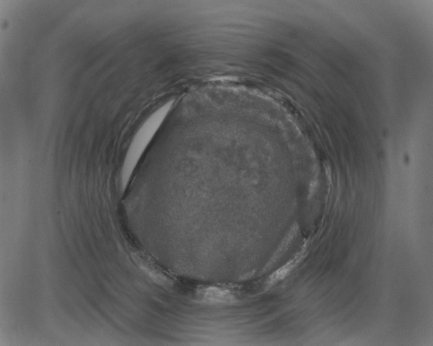 X0000084560180200703091754