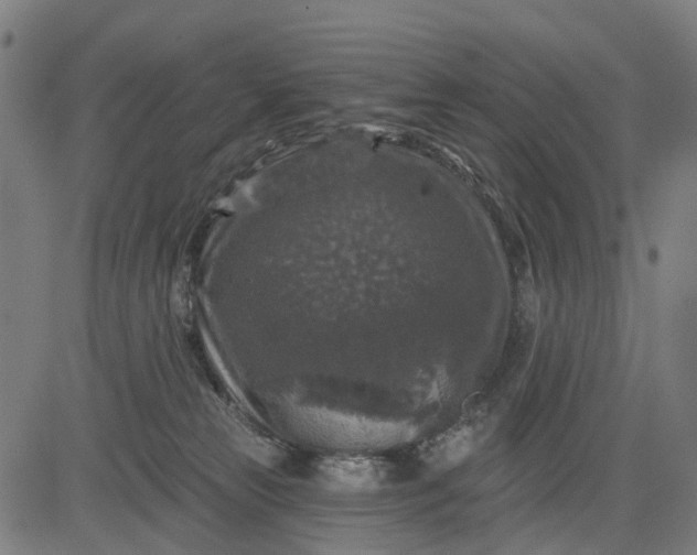 X0000084560181200703091754