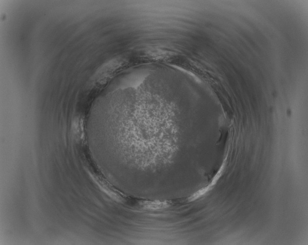 X0000084560182200703091754