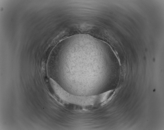 X0000084560184200703091754